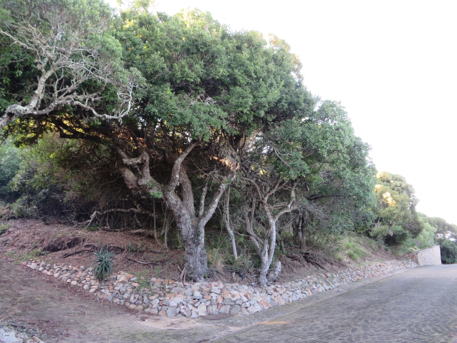 0 Bedroom Property for Sale in East Bank Eastern Cape